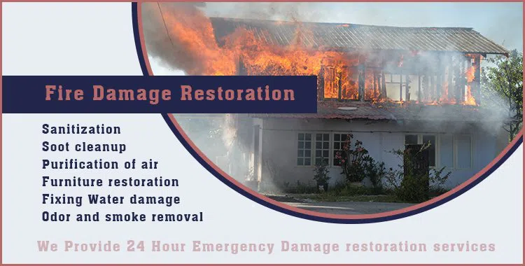 logo-image - banner-37-01