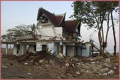 Homestead Restoration Expert Homestead, FL 786-296-0023 - content-about