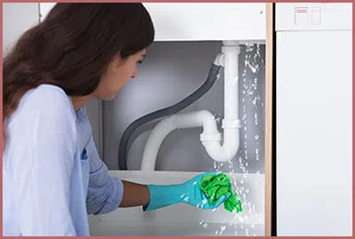 Homestead Restoration Expert Homestead, FL 786-296-0023