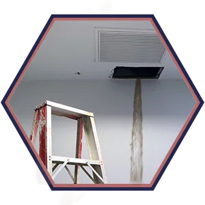 Homestead Restoration Expert Homestead, FL 786-296-0023 - sb-ser-01