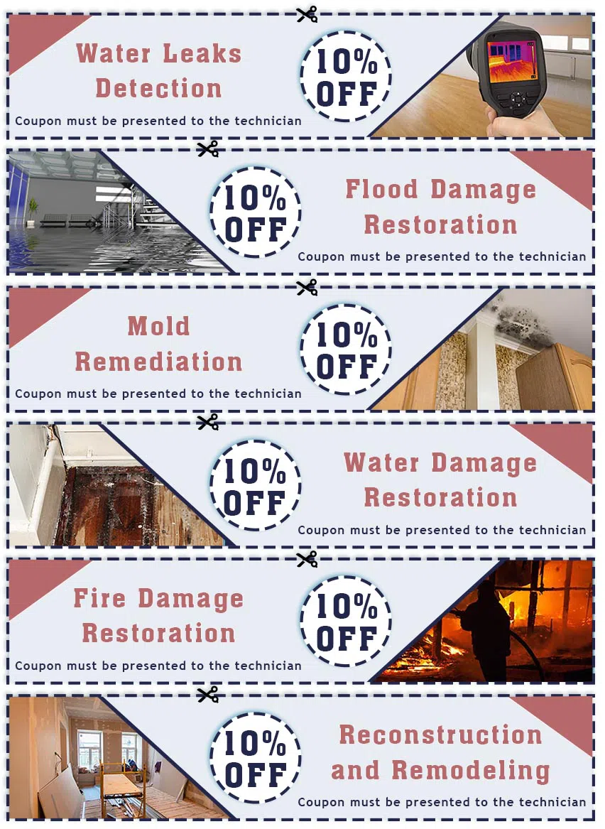 Homestead Restoration Expert Homestead, FL 786-296-0023 Homestead Restoration Expert Homestead, FL 786-296-0023 - set-13
